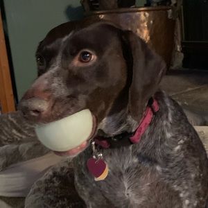 Meet your Posher, Cindy